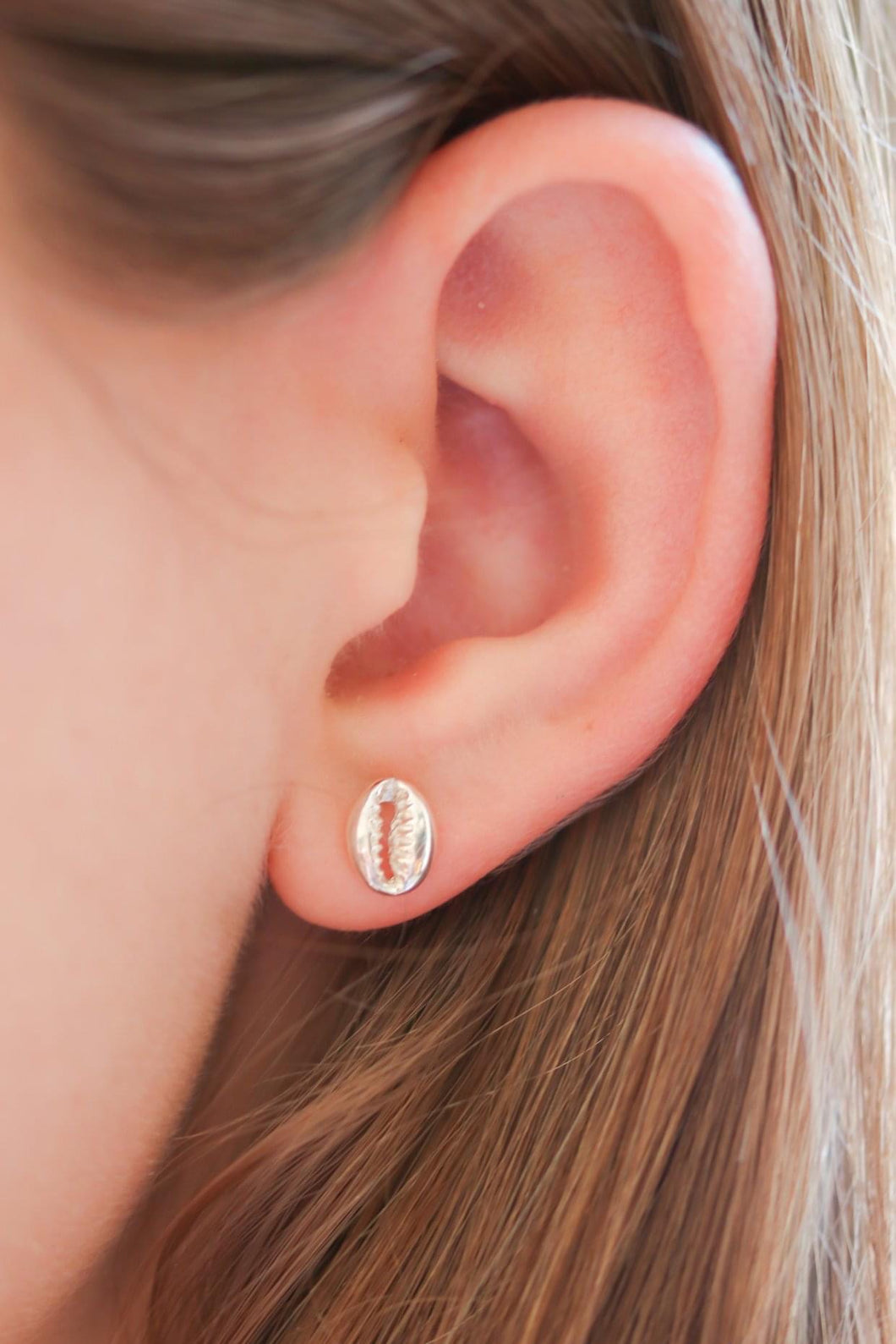 Cowrie Shell