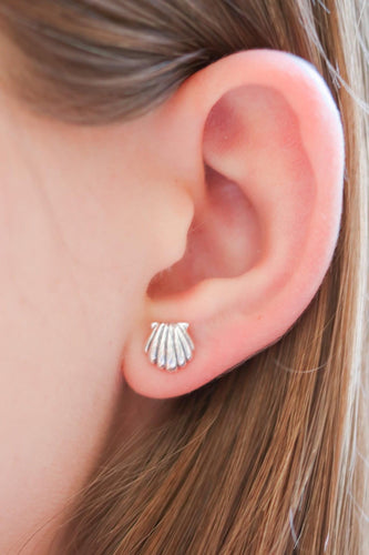 Shell stud earrings